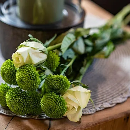 Haus Hochland Gæstehus Tux