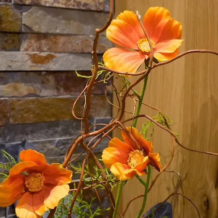 Gæstehus Haus Hochland Tux