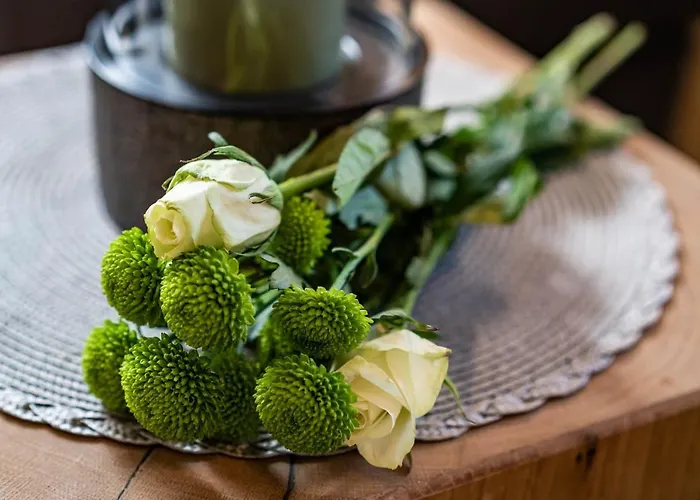 Haus Hochland بيت ضيافة تكس