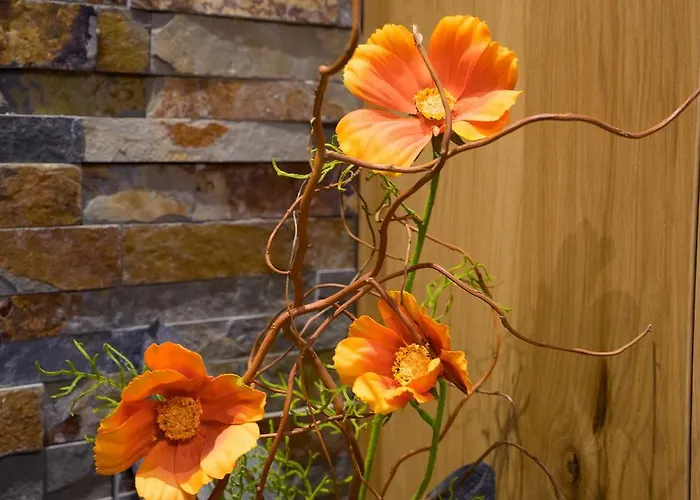 بيت ضيافة Haus Hochland تكس